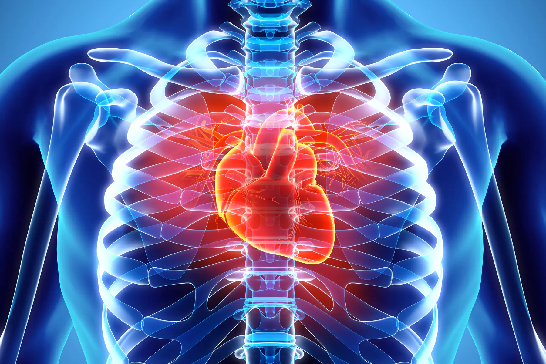 Heart Health: Separating the Truth From the Myths 10