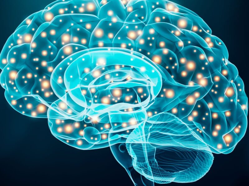 Type 2 Diabetes Speeds Aging in the Brain 5 1800ss getty rf brain