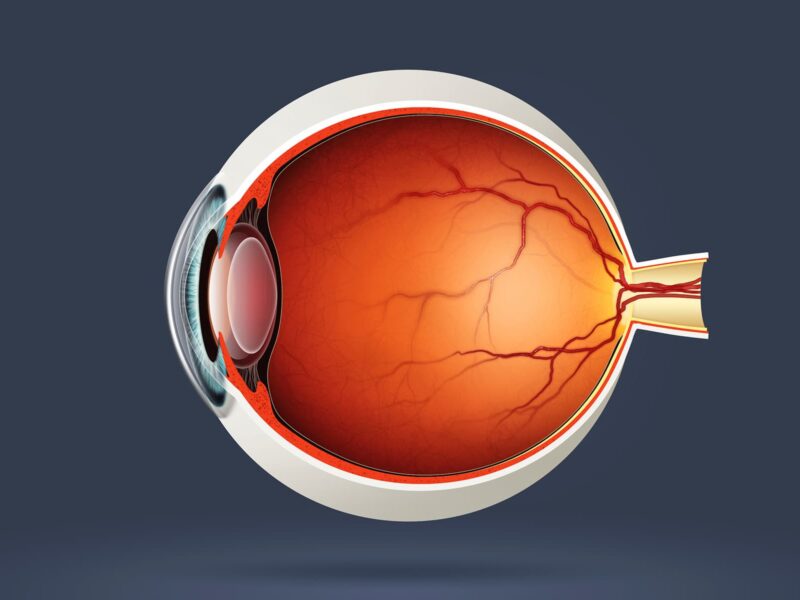 Eye Trouble May Bring Lower Scores on Seniors' Thinking Tests 5 1800x1200 age related vision problems ref guide