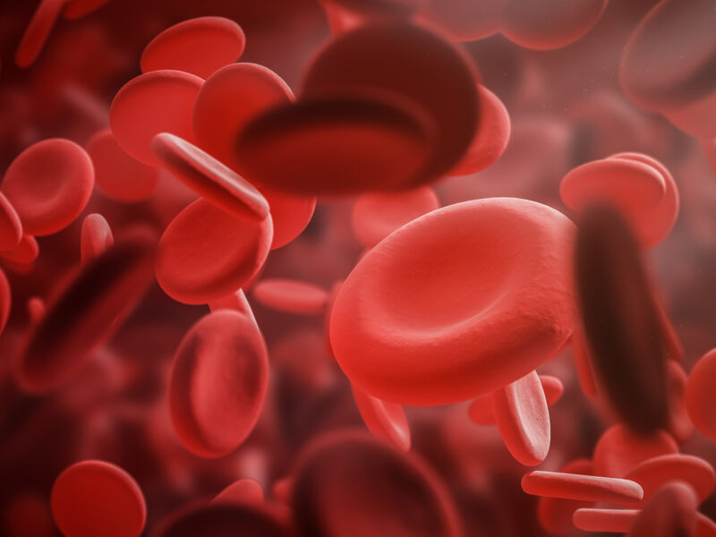 1800x1200 blood cells other