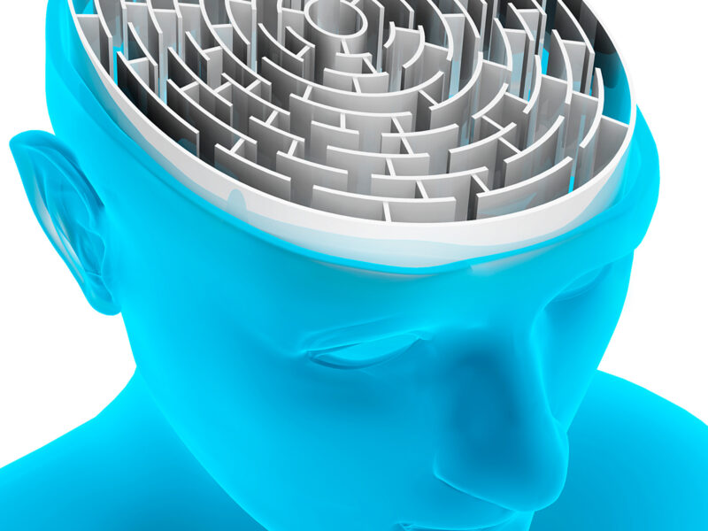 1800x1200 brain knowledge rmq