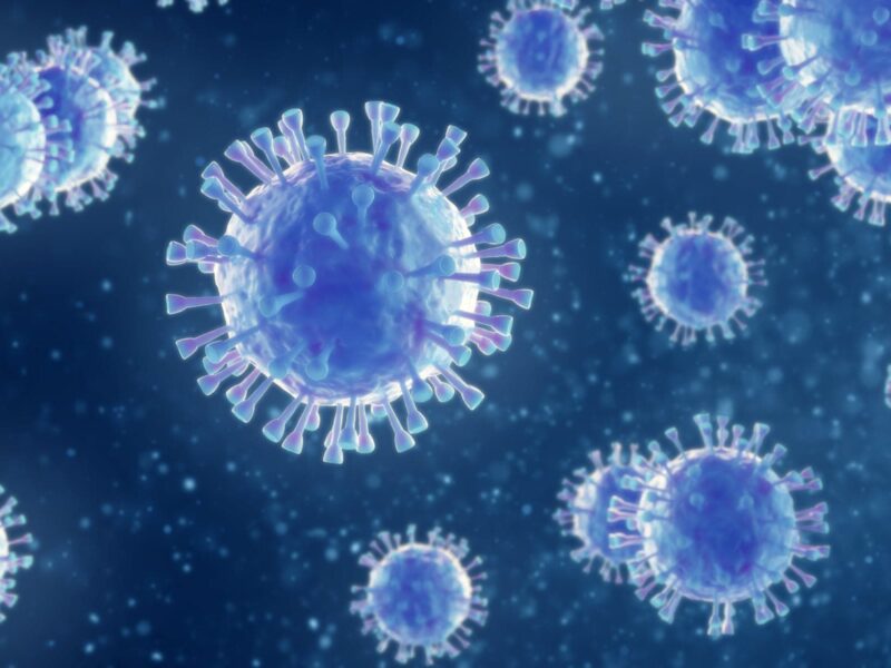 How the COVID Virus Sneaks Past Immune Defenses 3 1800x1200 coronavirus cells1