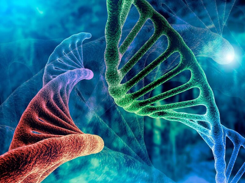 1800x1200 dna strand other