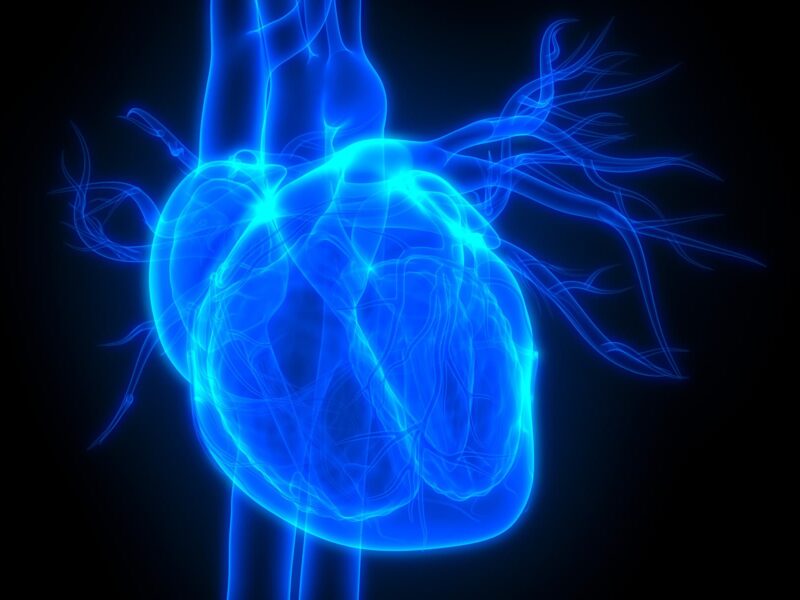 1800x1200 expert qa heart health