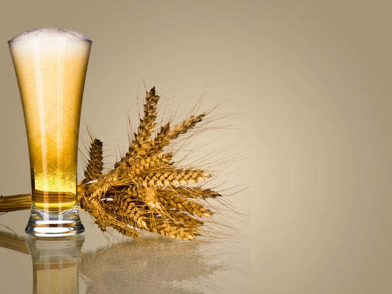 1800x1200 gluten in beer