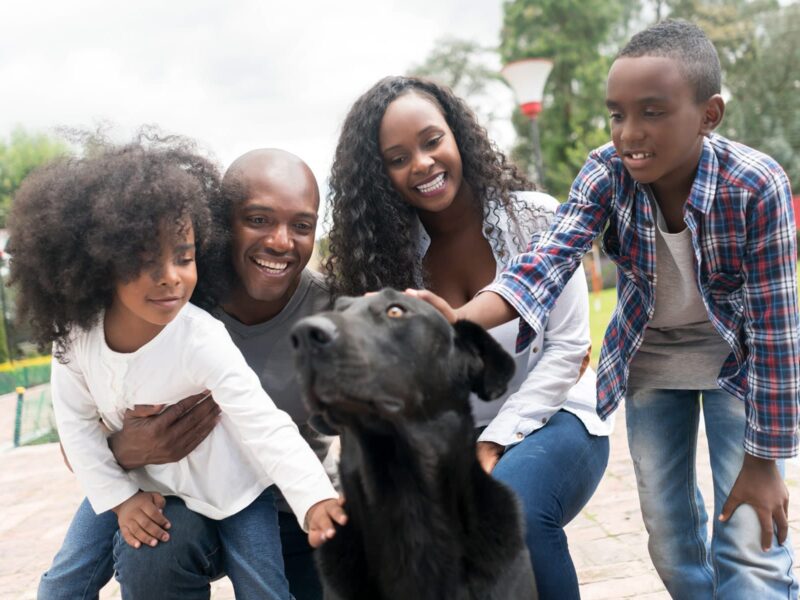 Dogs Can Be Protective, Even Against Crohn's Disease 1 1800x1200 happy family adopting mixed breed dog other