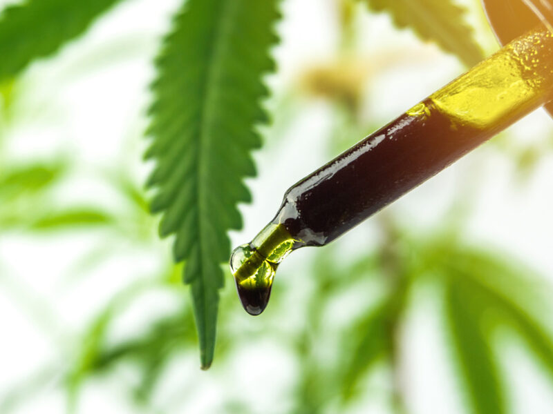 1800x1200 how marijuana affects your body slideshow