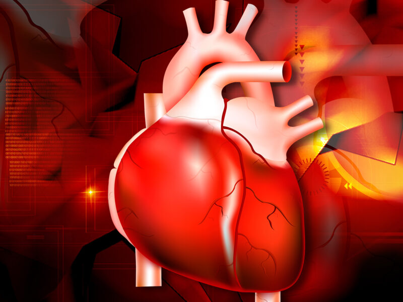 1800x1200 hpv and heart disease