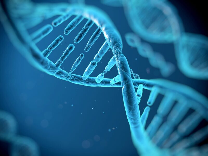 Gene Test Lets Some Colon Cancer Patients Safely Skip Chemo 2 1800x1200 immune cell gene therapy explained ref guide
