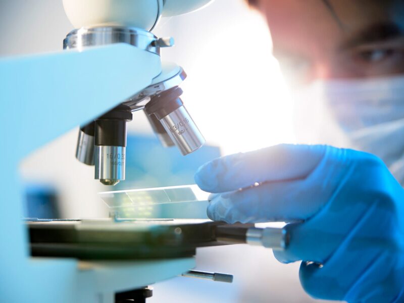 1800x1200 lab research covid19 12 other