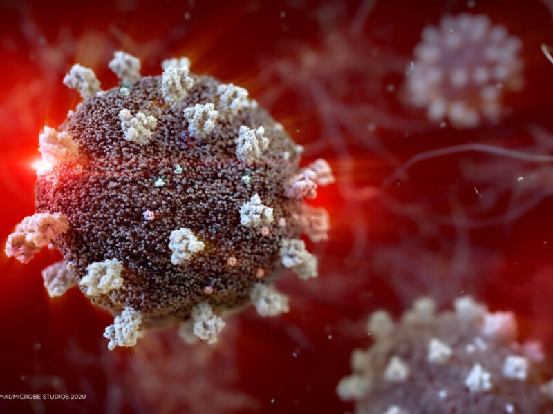 1800x1200 madmicrobe rf coronavirus 3