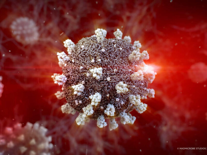 1800x1200 madmicrobe rf coronavirus 4