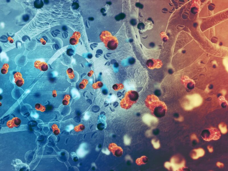 Study Pinpoints Cancer Patients at Highest Risk From COVID 8 1800x1200 medical illustration cancer cells body 01 other