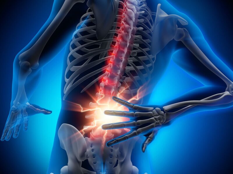 Your Back Hurts More Than a Neanderthal's and Here's Why 6 1800x1200 medical illustration back pain 02 other