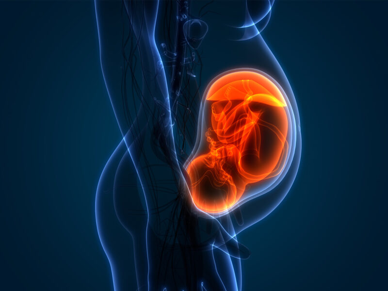COVID-19 Ups Complication Risks During Childbirth 9 1800x1200 medical illustration pregnancy mother fetus orange blue 01 other