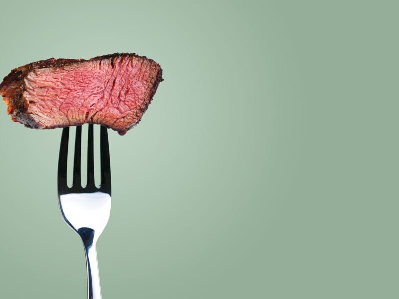 1800x1200 red meat and gut bacteria