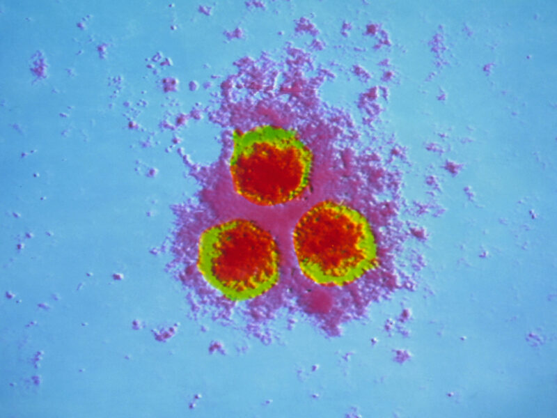 1800x1200 shingles slideshow