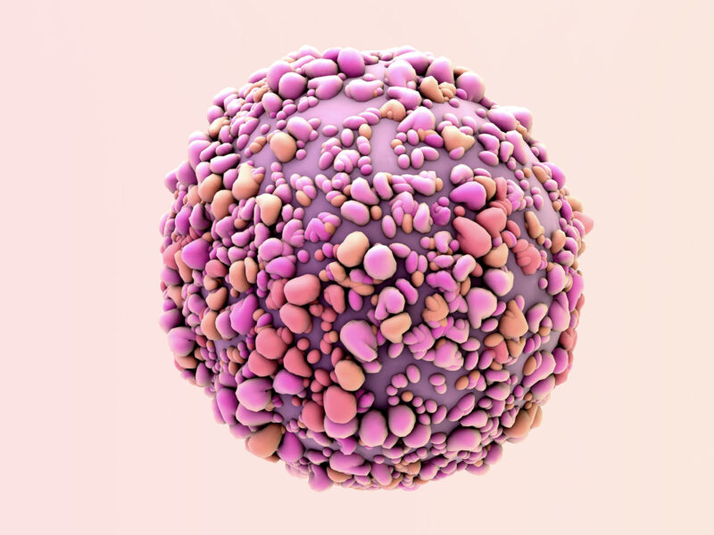 1800x1200 virus 3d render pink 01 other
