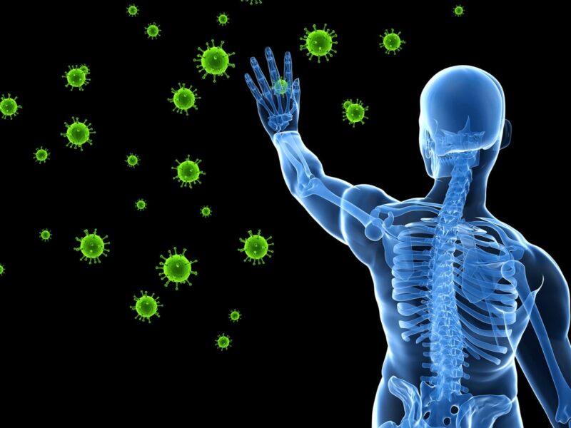 FDA Authorizes Pfizer Antiviral Pill for COVID-19 5 1800x1200 virus 3d render skeleton 01 other