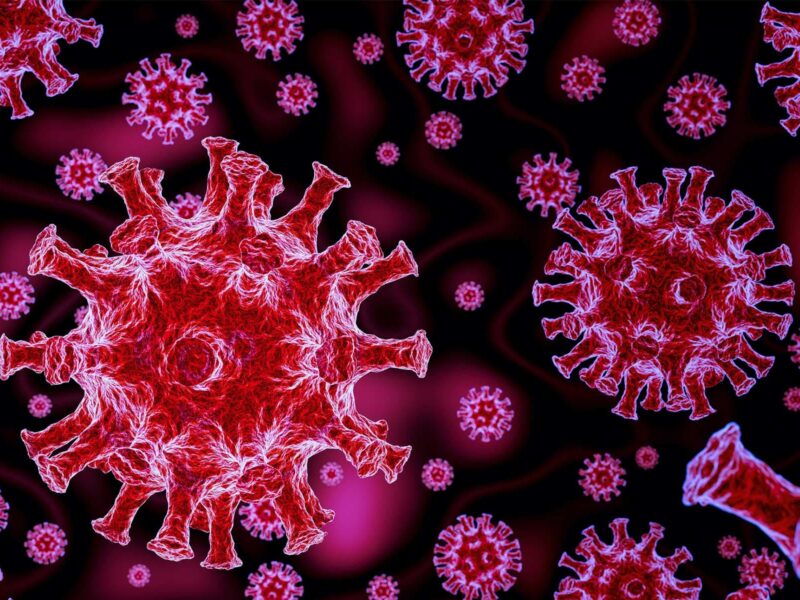 FDA OKs Emergency Use of Merck Pill for COVID-19 8 1800x1200 virus covid19 render pink 01