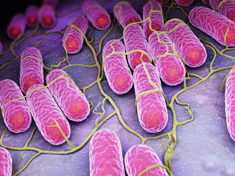 Salmonella Illness in 17 States Tied to Salami, Prosciutto 2 1800x1200 what to know about salmonella slideshow