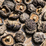 shiitake-mushroom