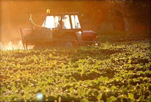 Pesticide to Be Banned Over Links to Problems in Children 8