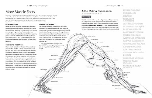 Download The Yoga Anatomy Coloring Book: A Visual Guide to Form, Function, and Movement (Volume 1) - Be ...