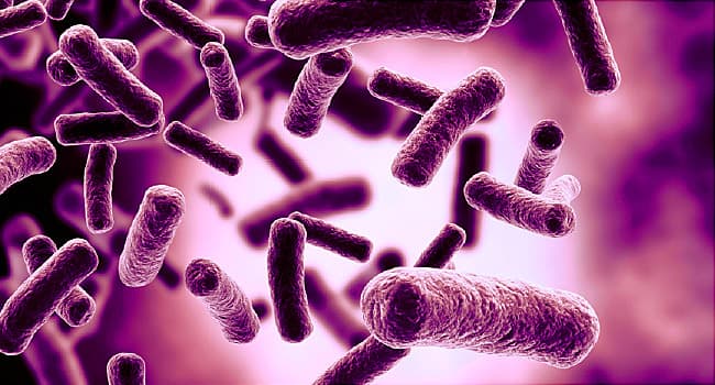 'The Other Pandemic': Antibiotic Resistance Growing Worldwide 5