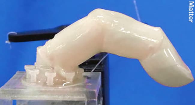 Robot Finger With Living Skin Points To A New Future 5