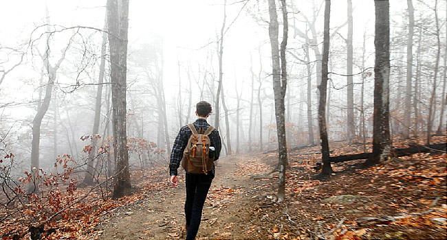 Nature Is the Fix for COVID-19 Stress 3