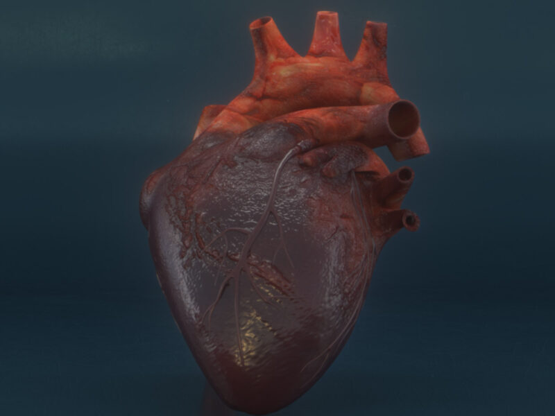 Heart Failure Nearly Doubles COVID Death Risk 4 basics covid 19 your heart